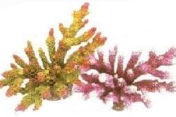 Образцы искусственных кораллов Aqua Pro